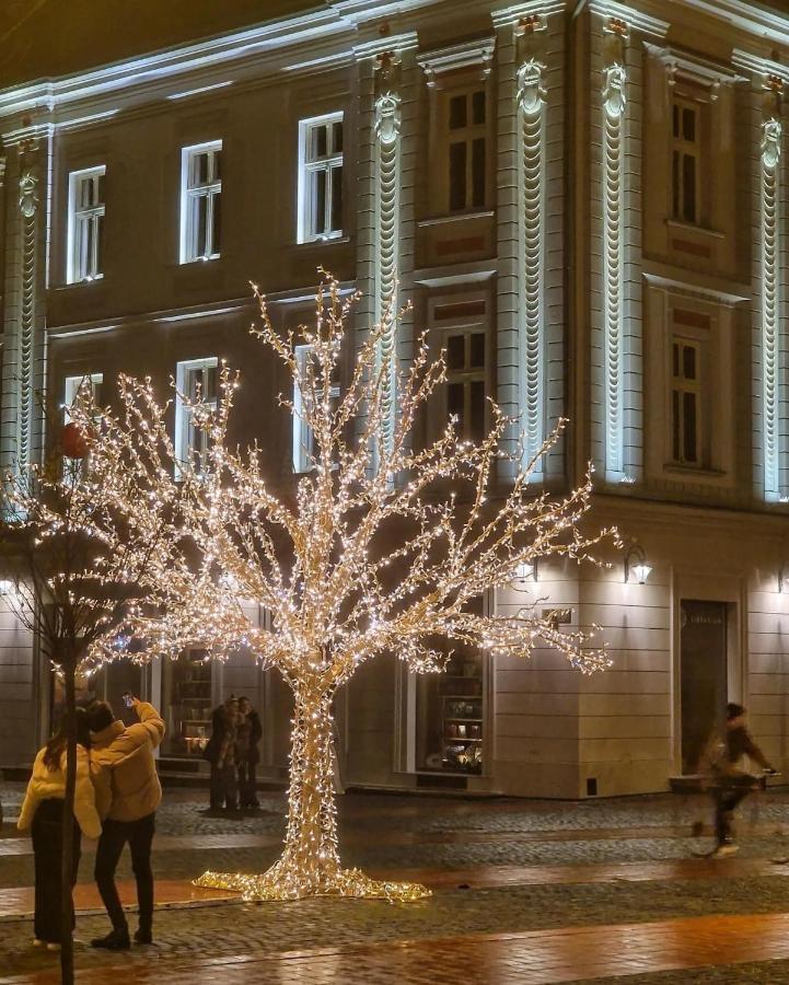 Central Luxury Home Timisoara Exterior photo